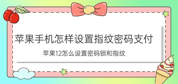 苹果手机怎样设置指纹密码支付 苹果12怎么设置密码锁和指纹？